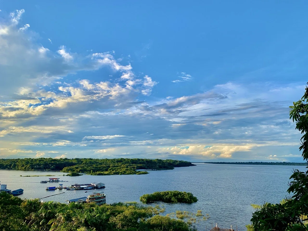 Floresta Amazônica — Logiin, empresa de segurança de Manaus